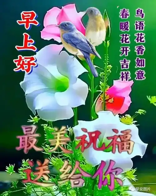 2023年9月25日早安问候图图片大全岁月匆匆又一天千言万语汇一句安康
