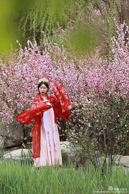 古风人像.人面桃花