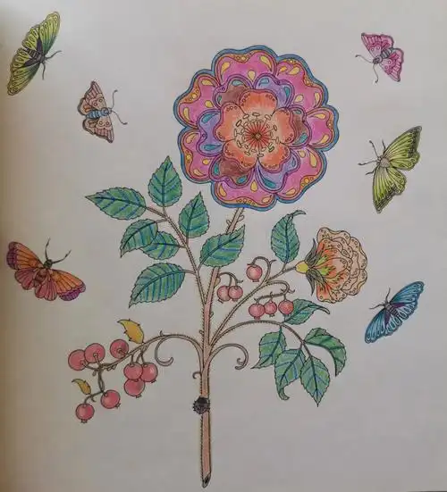 秘密花园涂色8赏赏花吧