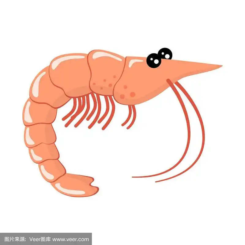 卡通虾孤立在白色,矢量插图