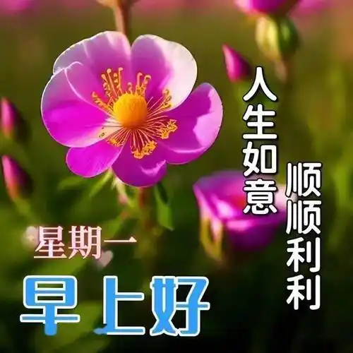 早上好问候祝福语,开心每一天,问候报平安!_生活_未来_亲爱的朋友