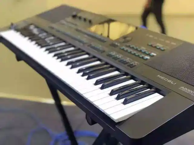 国产电子琴电子乐器有一个很能打的品牌叫美得理你们知道吗?