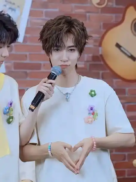 贺峻霖一对一手势舞