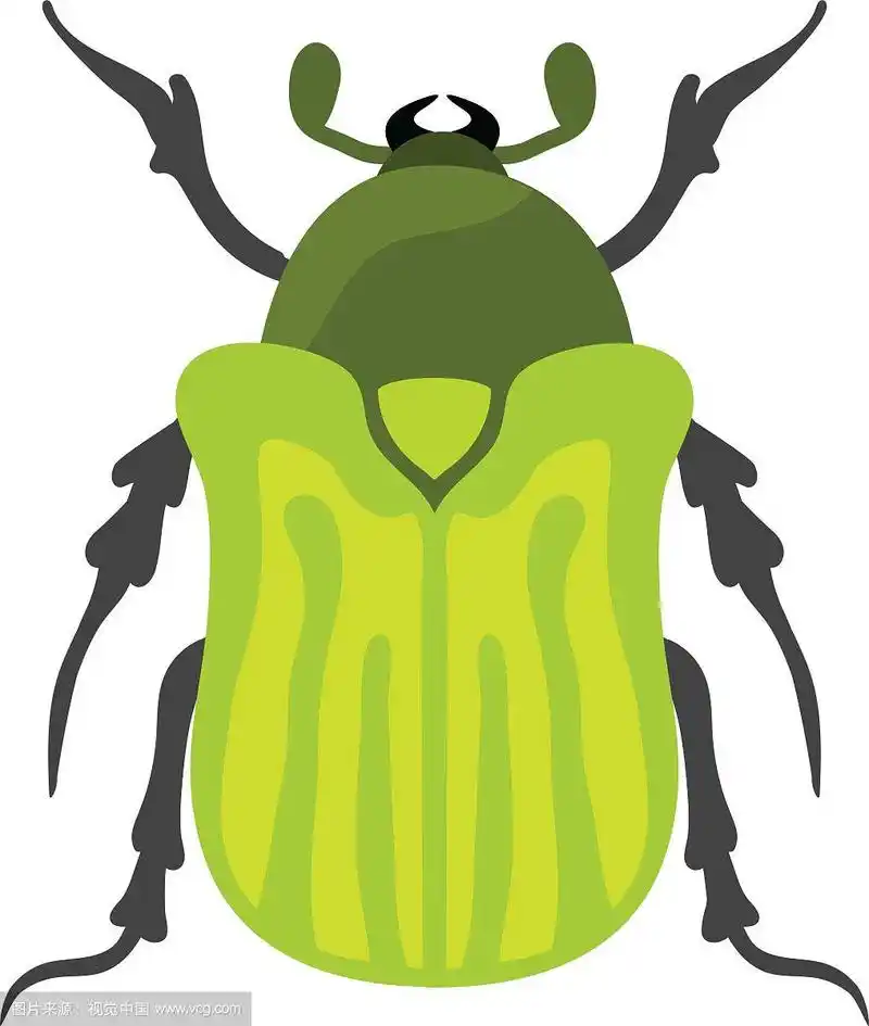 甲虫扁虫卡通风格