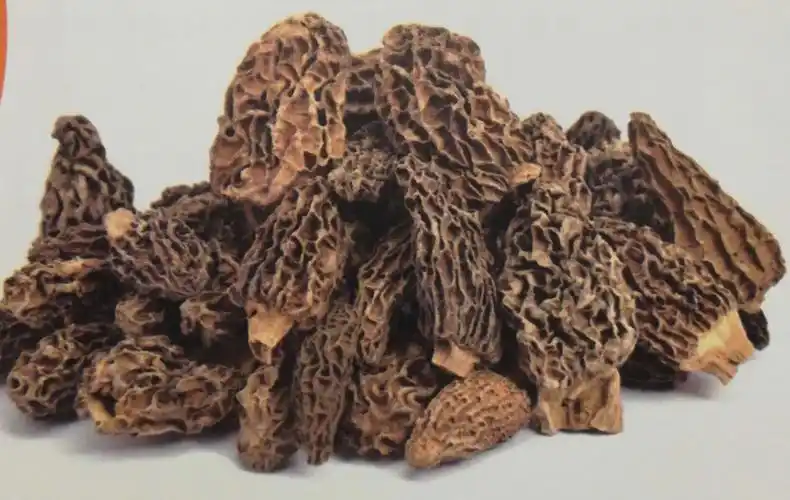 舌尖上的安惠---羊肚菌