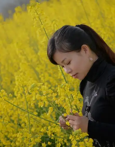 美女与油菜花的结合