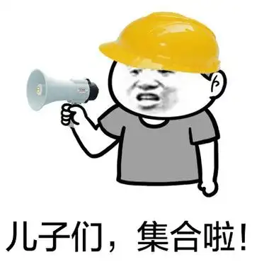 儿子们,集合啦!