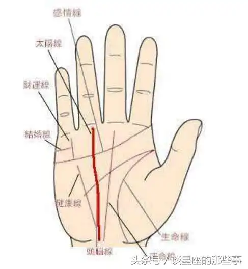 典型的富贵命手相,40岁前注定要大发横财的手相