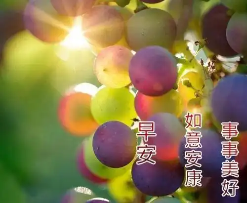 成功也就是胜利的标志,坚持就是胜利,共勉,早安