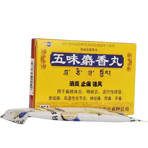 多维五味麝香丸25s水丸