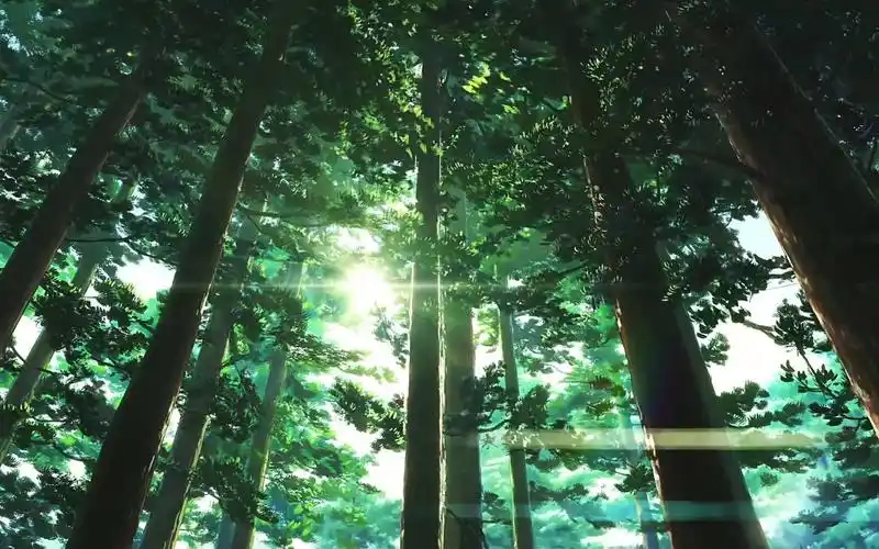 几年过去了,新海诚的作品还是这么耐看!