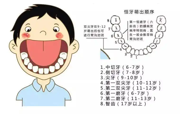 口腔健康,全身健康(高仓中心幼儿园第32个全国爱牙日宣传)