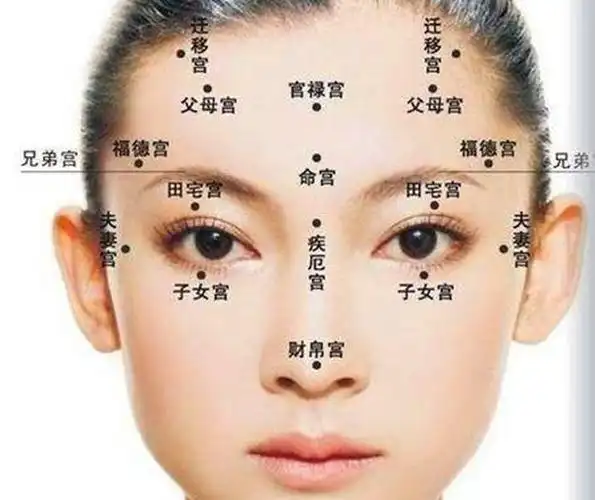 看相先看鼻子这样的鼻子才能赚大钱准得惊人