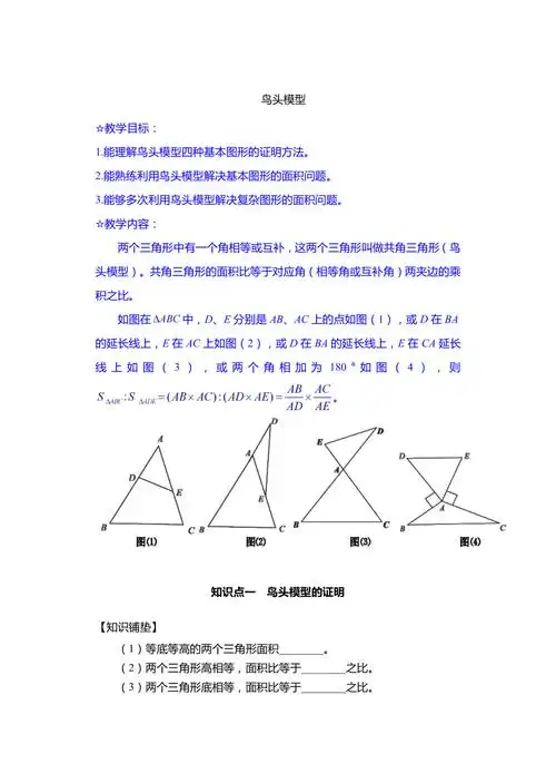 鸟头模型讲义数学思维拓展五年级上册