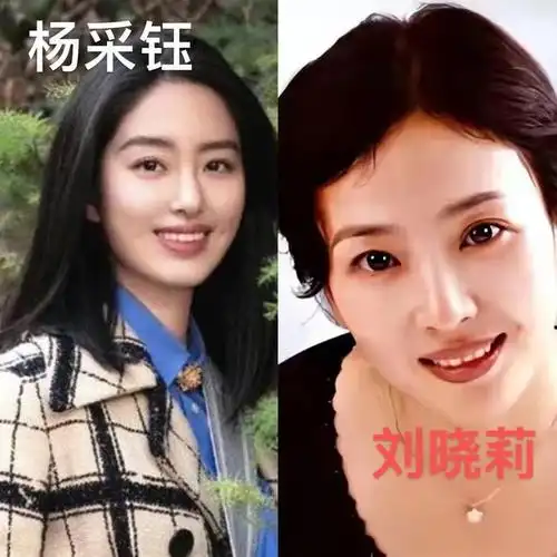 仙女妈刘晓莉两婚两离,不惜牺牲打造刘亦菲成大明星,她是真厉害