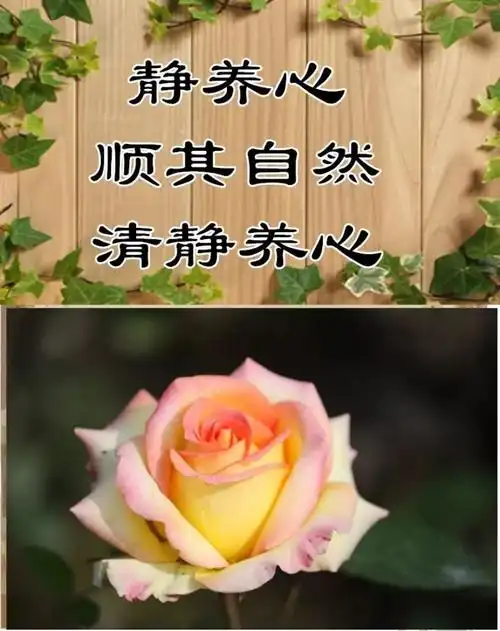 最美《笑一笑》,送给朋友!