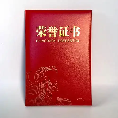 厂家印制 烫金大红色皮革荣誉证书 皮面荣誉证书特种纸封皮