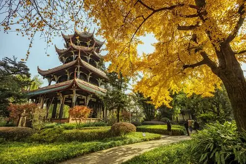 【携程攻略】成都望江楼古建筑群景点,望江楼古建筑群应该是整个望江