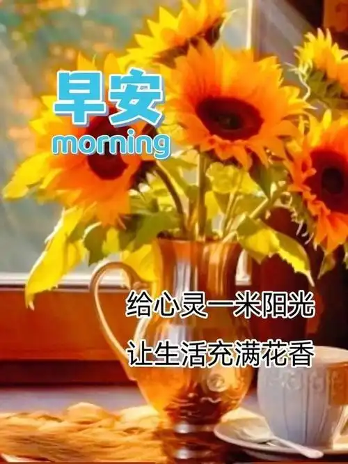 11月3日最新早安问候漂亮图片,早上好问候祝福语