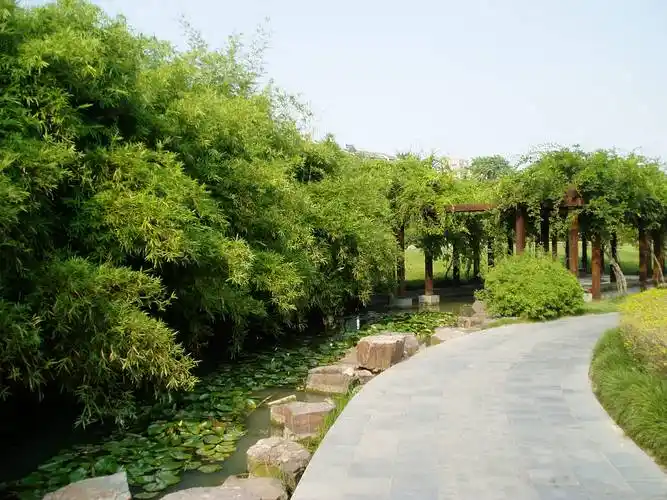 湖州市余家漾公园景观绿化