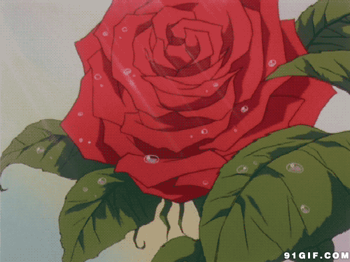 鲜花滴水卡通动态图