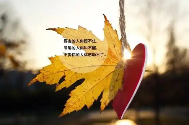 个性说说心情短语(个性经典句子说说心情分享)-美文社