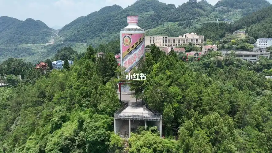 标志性建筑打个卡～95#贵州旅游  #茅台镇