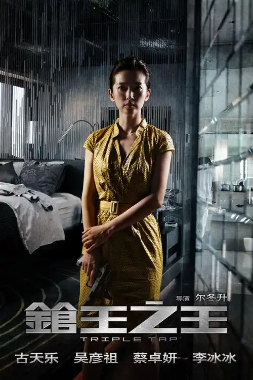 枪王之王海报 4 poster