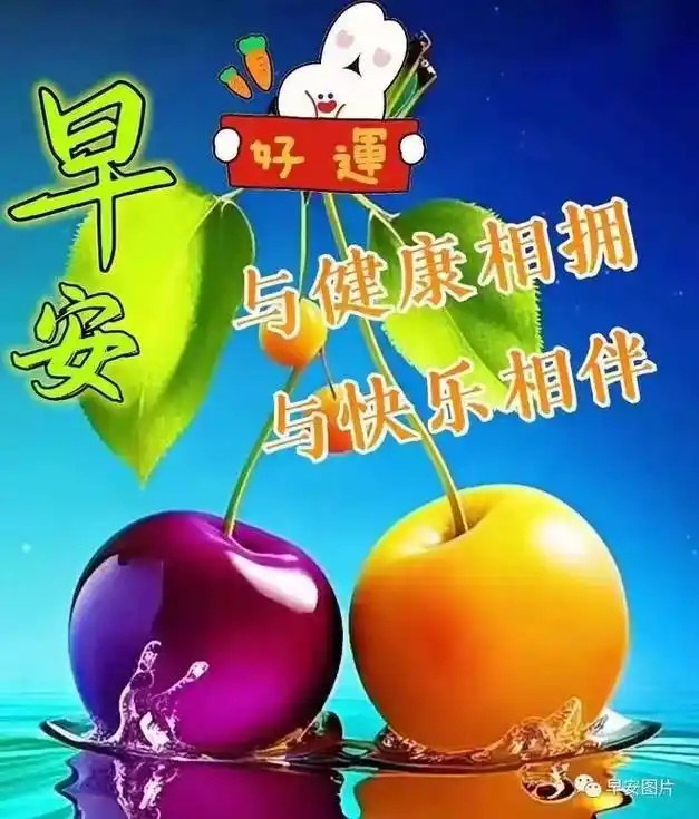 早上好暖心问候最在乎的人 - 抖音