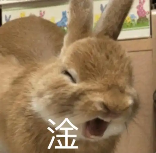 淦奇奇怪怪动物表情包斗图斗图表情