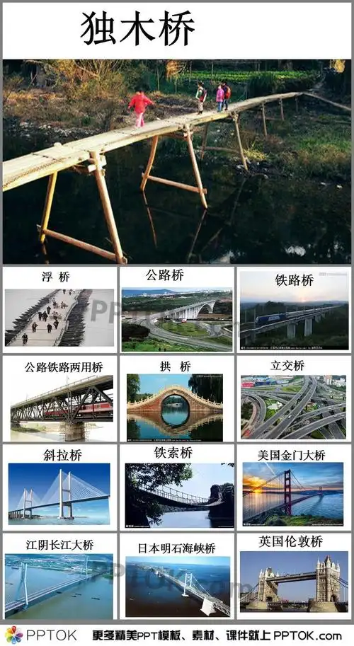 幼儿园科学各种各样的桥ppt课件