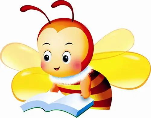 爱读书的小蜜蜂