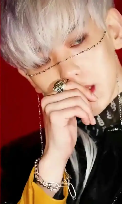 脸链#论脸链和边伯贤的适配度