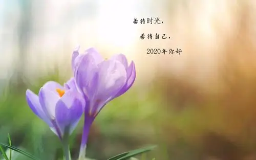 2020年的锁屏壁纸_丝瓜视频