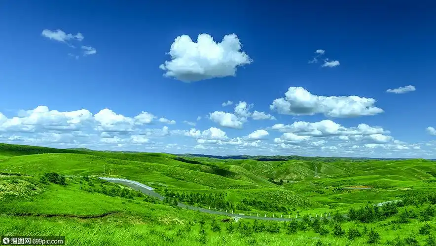 照片 自然风景 内蒙古草原夏季风光.jpg