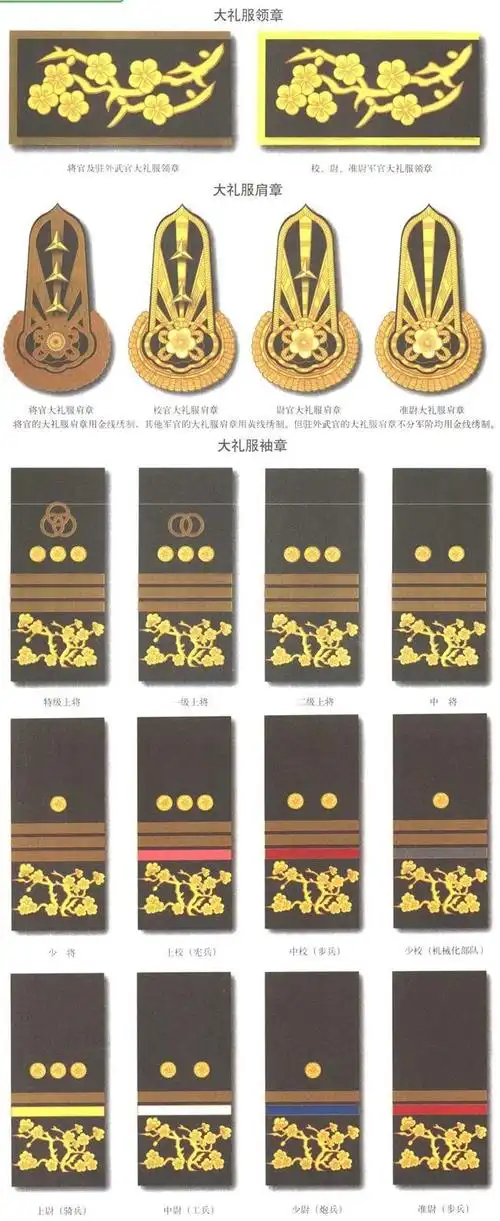 国军军服相关知识图解