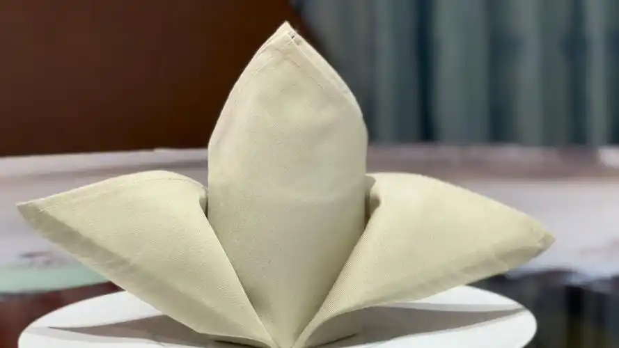 分享一个口布折花餐巾折花盘花杯花口布花餐巾花教程～心花怒放