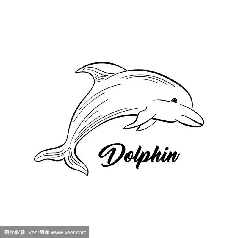 海豚黑白插图