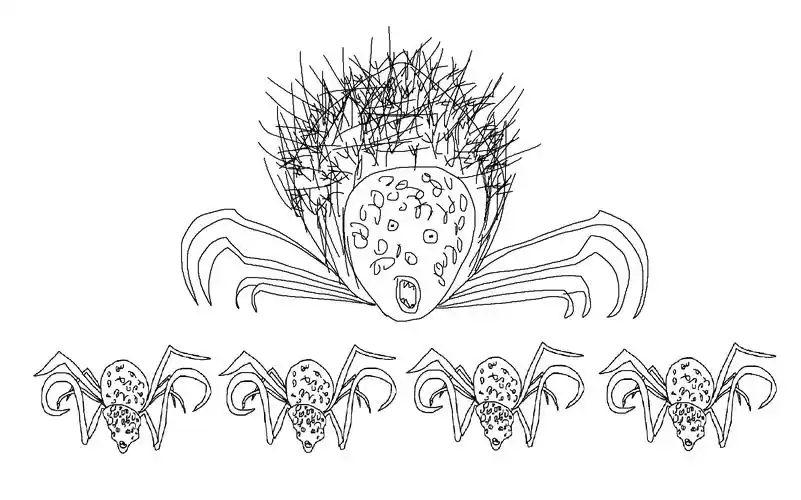 罗姆,空虚的蜘蛛