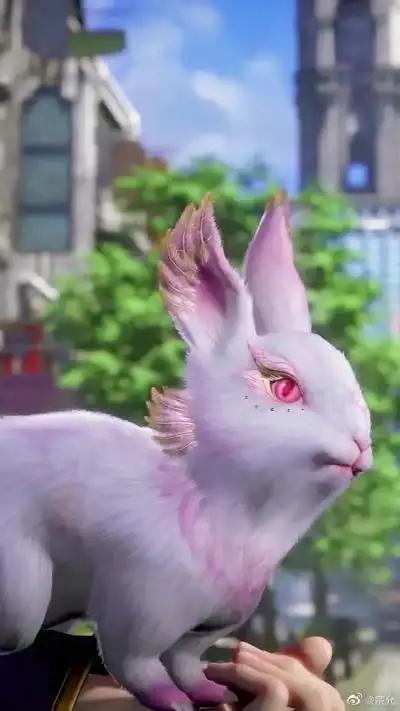 唐三和他小兔子,小舞