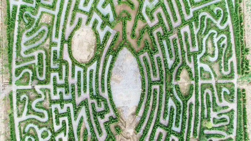 路痴慎入!中国最大植物迷宫将在临朐开放