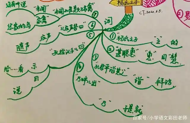 思维导图解析五年级下册小古文——《杨氏之子》