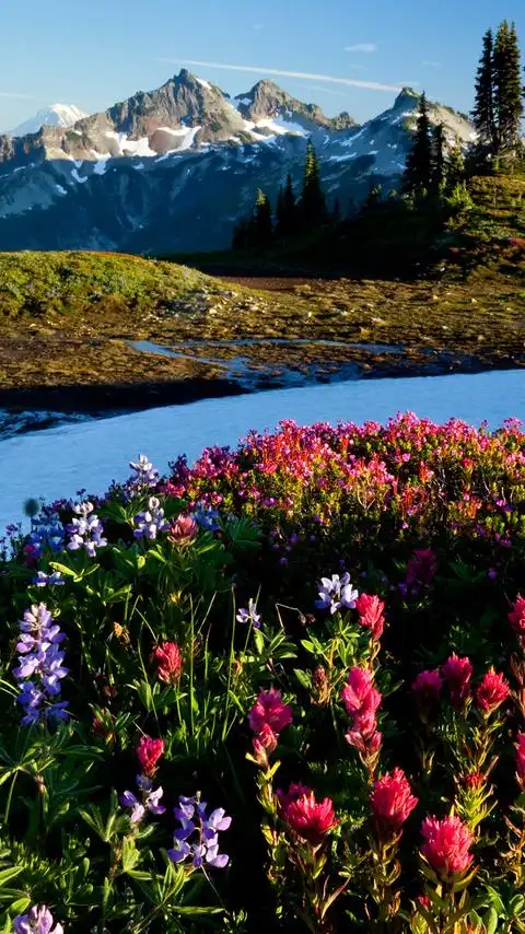 蔚蓝色山水风景手机桌面壁纸