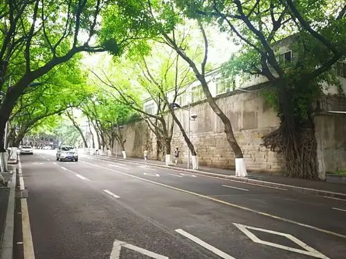 2019中山四路-旅游攻略-门票-地址-问答-游记点评,重庆旅游旅游景点