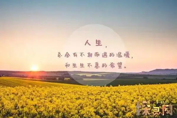 经典人生感悟语句励志的人生感悟语录句句戳心