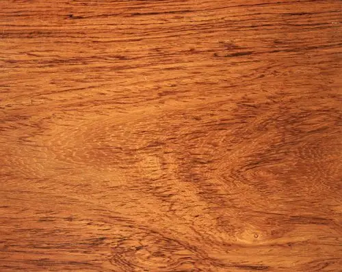 海南黄花梨及其辨伪