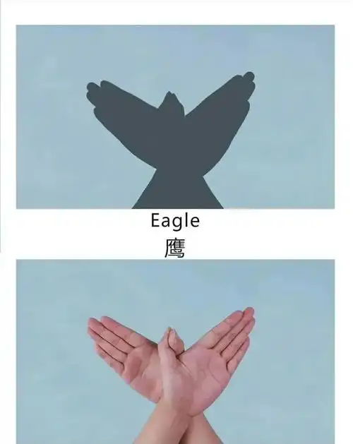 郭滩镇中心幼儿园"停课不停学"之动物手影和语言活动