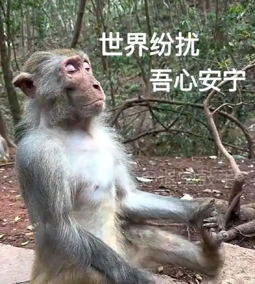 猴猴表情包