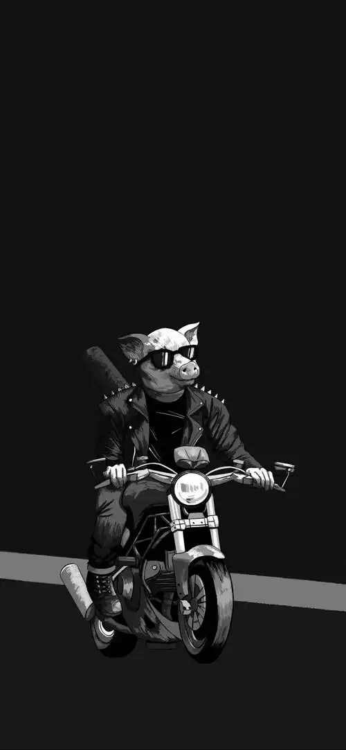 一辈子都不舍得换掉的高清壁纸适合手机全面屏的