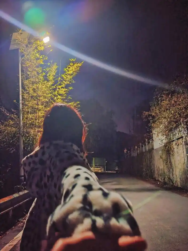 你总说幸福在哪 我说有你在身边就好#背影 #路灯下 #夜晚 - 抖音